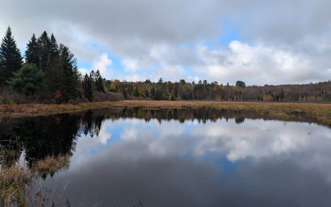 Living in South River, Ontario – Real Estate, Community & Lifestyle Guide (2026)