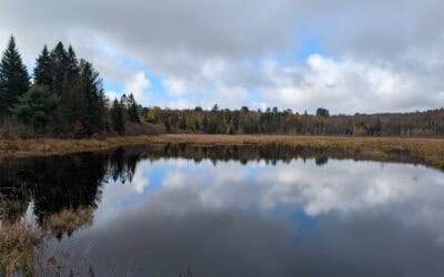 Living in South River, Ontario – Real Estate, Community & Lifestyle Guide (2026)