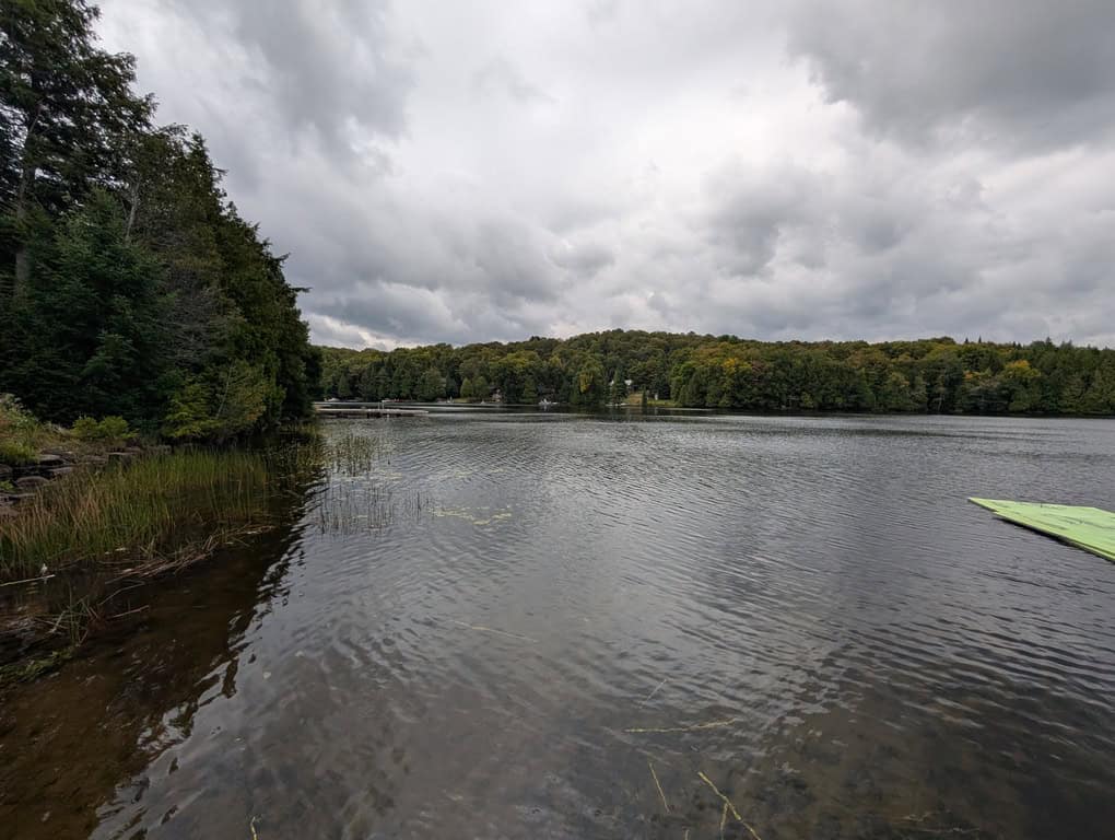 Quiet shoreline on Bay Lake in Emsdale, Ontario