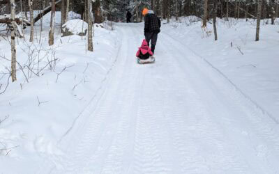 January 2026 Events in Burk’s Falls, Huntsville, Callander, Bracebridge, and North Bay