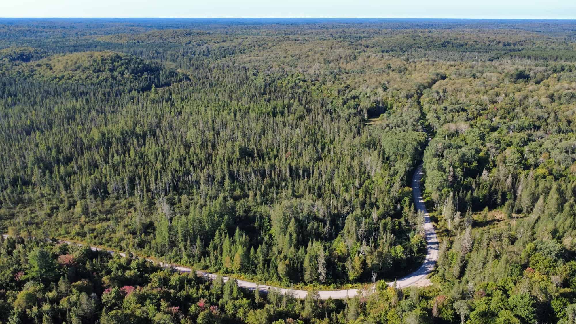 Aerial view of forest and road in McMurrich Monteith Township Ontario
