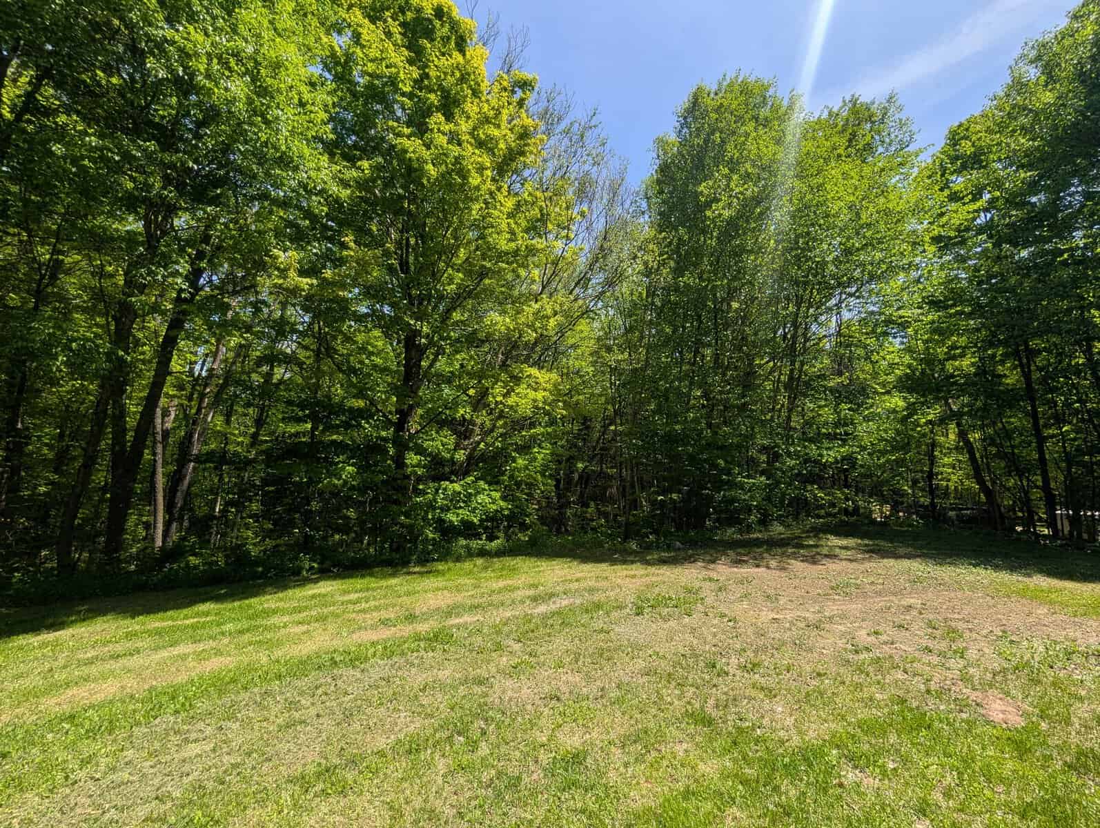 Sunny backyard with forest view in Sprucedale Ontario