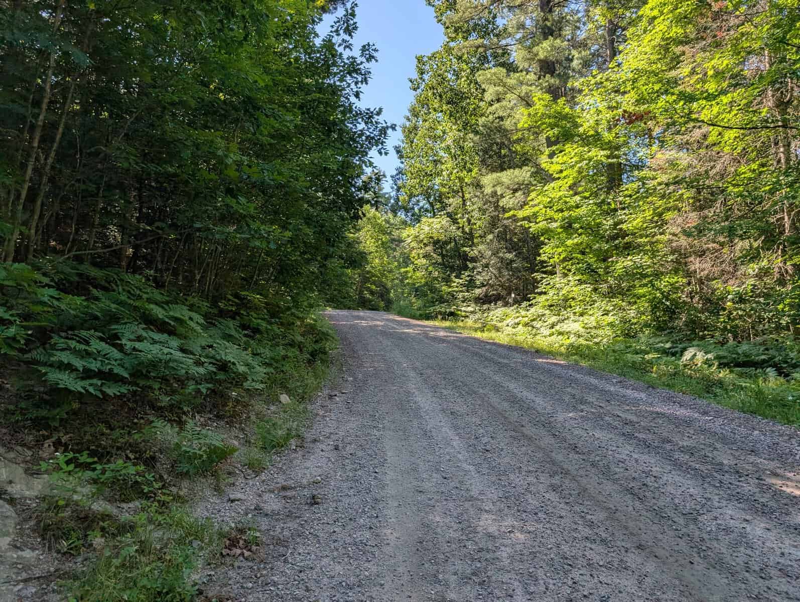 Gravel road in McMurrich Monteith Township Sprucedale Ontario